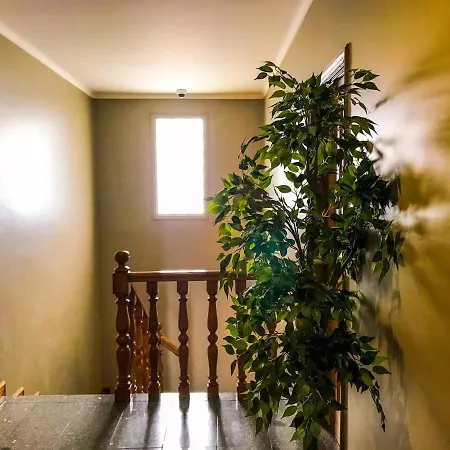 Do Paco By Vimahotels 2*