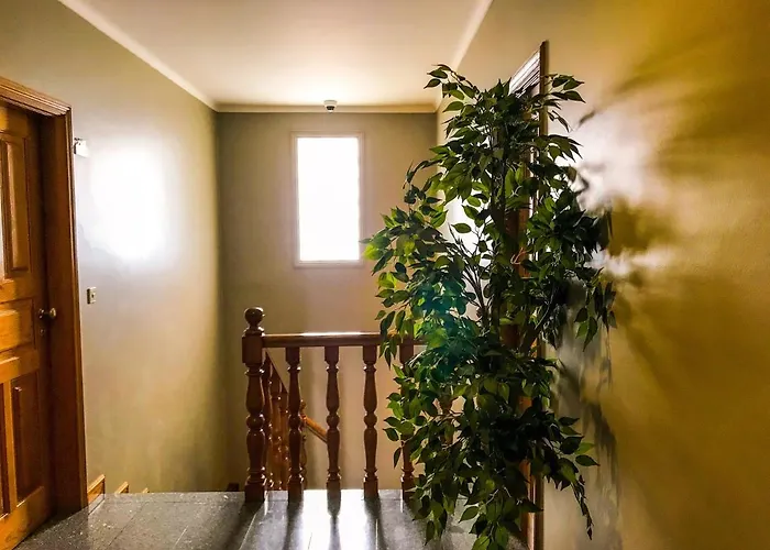 Do Paco By Vimahotels 2*